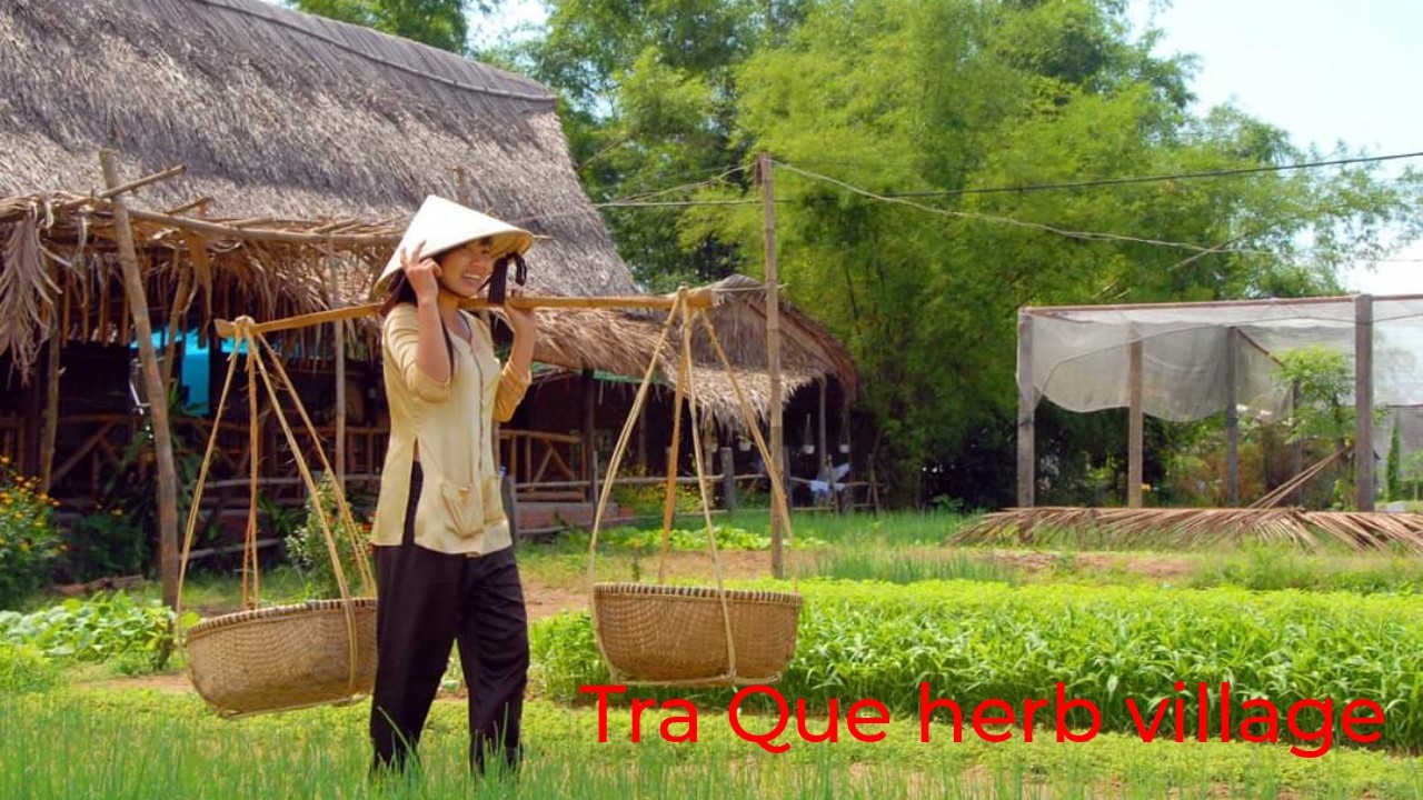 Hoi An Bike Tour4