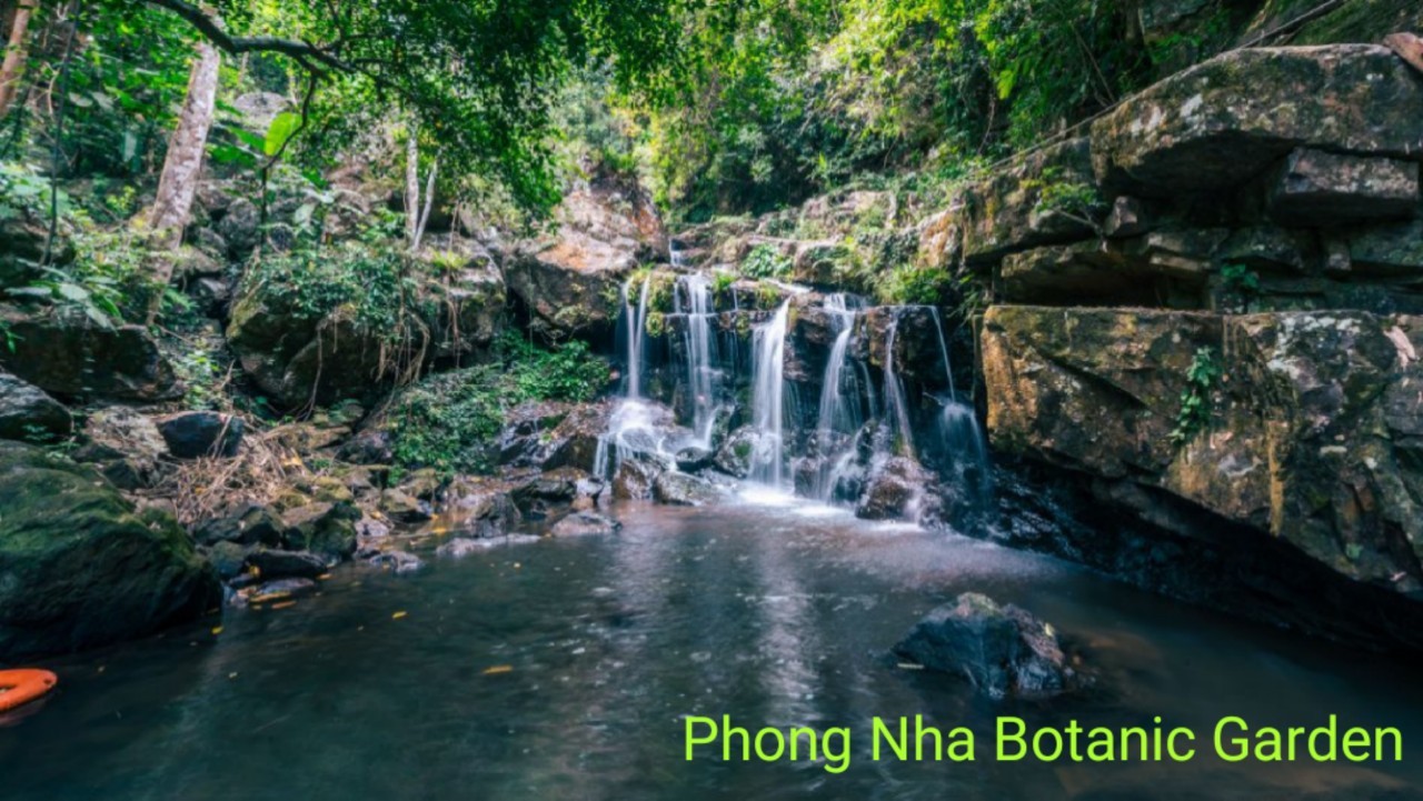 Phong Nha Cave Vietnam 2