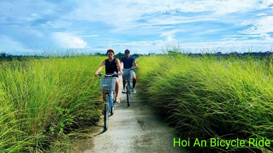 Half Day Basket Boat Water Buffalo Ride Tour Hoi An