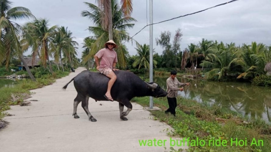 Hoi An Buffalo Ride Round Boat Tour