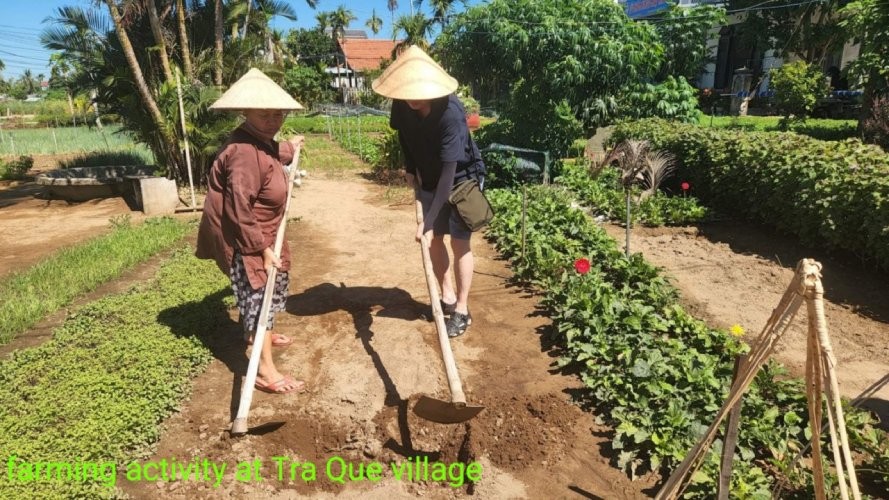 Basket Boat Water Buffalo Ride Tour Hoi An 2