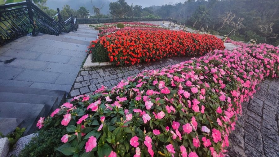 Ba Na Hills Private Tour From Da Nang